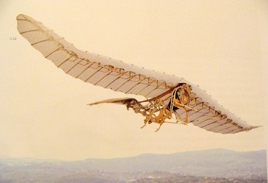 Ornitopter