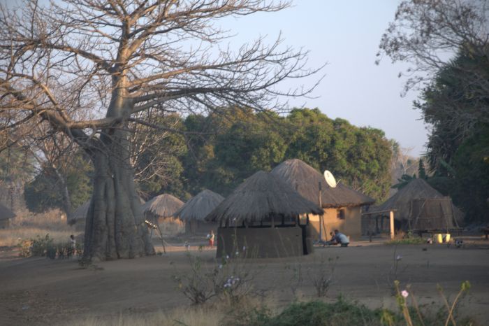 W dolinie Luangwa