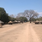 W dolinie Luangwa