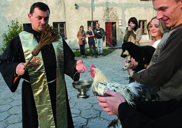 Kościół przeciw zwierzętom?