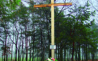 Usunięcia tego krzyża domaga się prezydent Stalowej Woli.