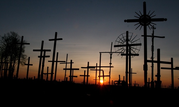 Abp Budzik: Krzyż mocą i mądrością Bożą