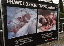 Nowe statystyki aborcji w Polsce