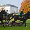 Hubertus w Niemczech