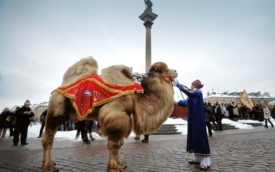Brak tytułu
