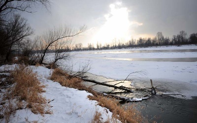 Brak tytułu