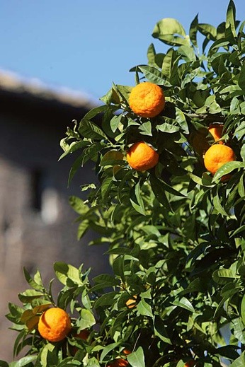 Kościół św. Sabiny w Rzymie