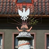 Brak tytułu