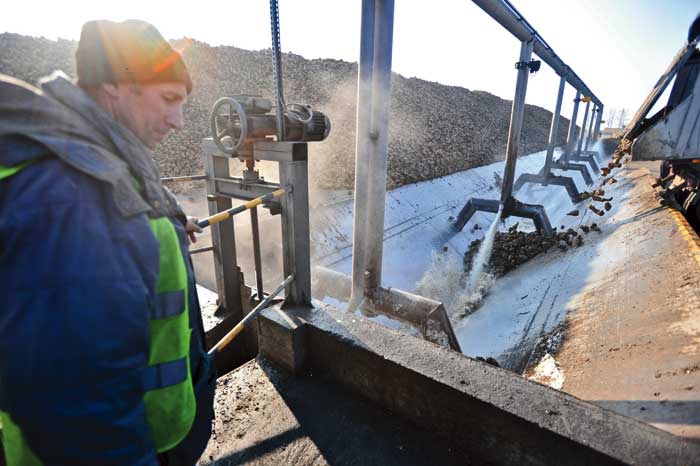 Skąd się bierze cukier?