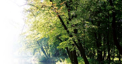Cystersi ratują przyrodę