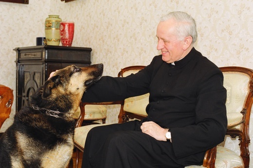 Arcybiskup Damian Zimoń, Metropolita Górnośląski