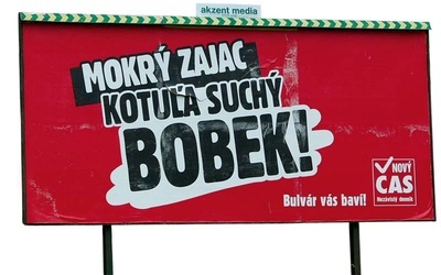 Uwaga, mokry zając!