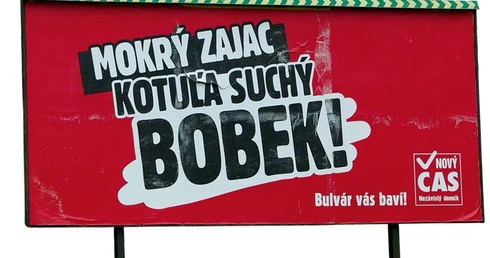 Uwaga, mokry zając!