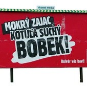 Uwaga, mokry zając!