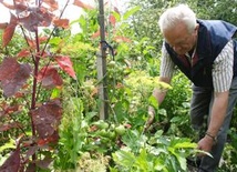 Miłość, wolność i dobro