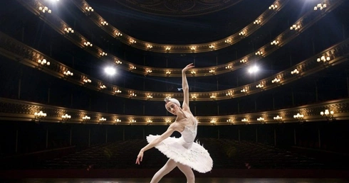 Białoruski łabędź w Saragossie