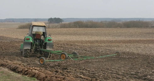 Ocieplanie klimatu dobre dla upraw