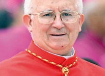 Kard. Canizares Llovera