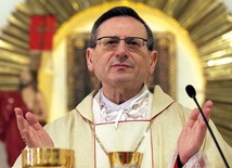 abp Angelo Amato