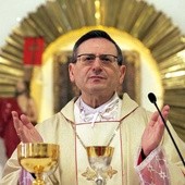 abp Angelo Amato