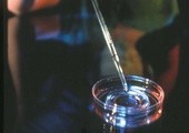 Całkowity zakaz in vitro w Sejmie