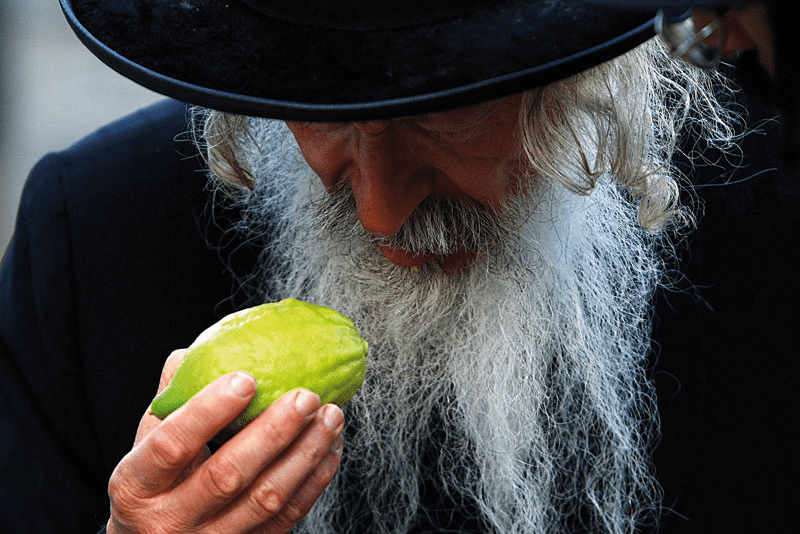 Wypisz Przed Czym Przestrzega Pan Bóg W Pierwszym Przykazaniu Dekalogu Co na to Pan Bóg?