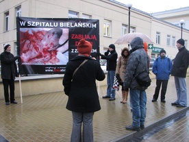 Pikietujący na wietrze i w deszczu