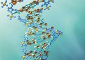 Niepewne DNA