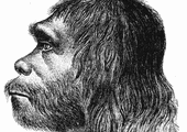 Mózgi neandertalczyków trochę inne