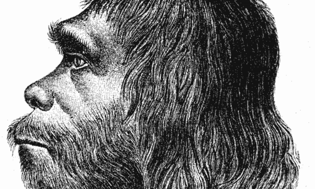 Mózgi neandertalczyków trochę inne