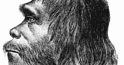 Mózgi neandertalczyków trochę inne