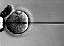 Kontrprojekt PO ws. in vitro?