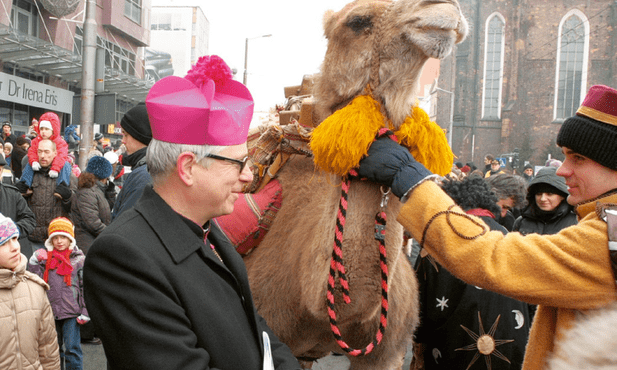 Franek na sianku leży