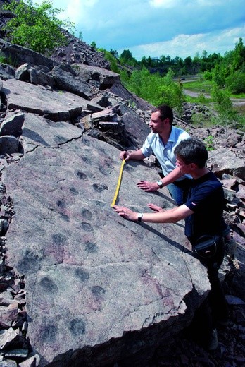 Piotr Szrek i Grzegorz Niedźwiedzki obok odkrytych tropów tetrapodia