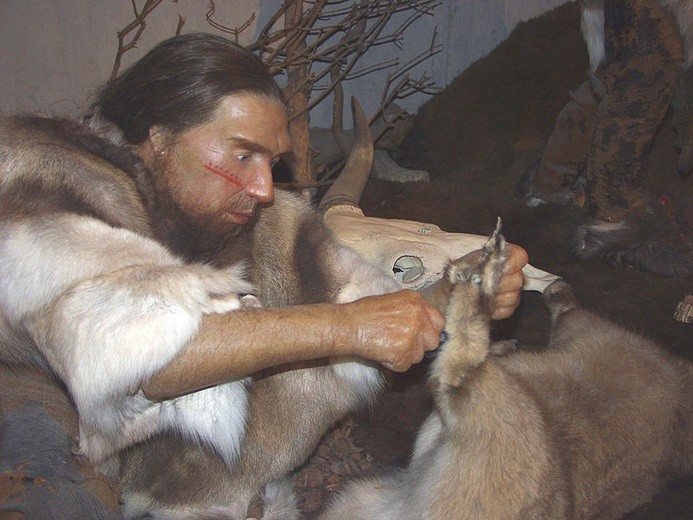 Dlaczego wyginęli neandertalczycy?
