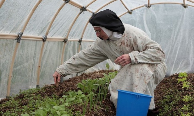 Dobry klimat do wzrostu