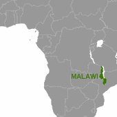 Malawi: trudne święta i loteria