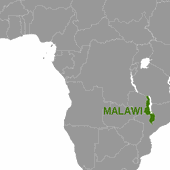 Malawi: nadzieje wobec nowego prezydenta