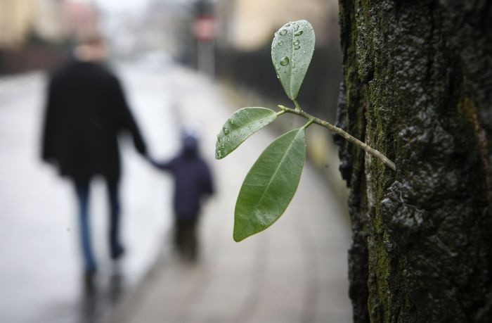 Otwarto Świętokrzyski Ośrodek Adopcyjny