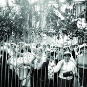 Brak tytułu