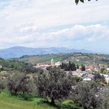 Boskie Oblicze z Manoppello