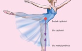 Rysunek 1