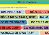 Mózgołamacze