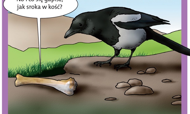 Kawał dobrej roboty