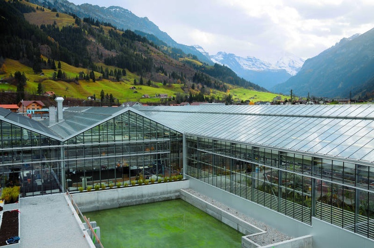 Tunel, banany i wielkie oczy