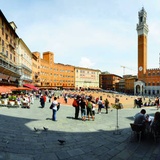 Siena palona