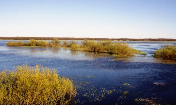 Biebrza