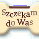 Brak tytułu