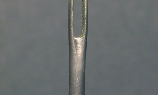 Zaszyli sobie usta na znak protestu