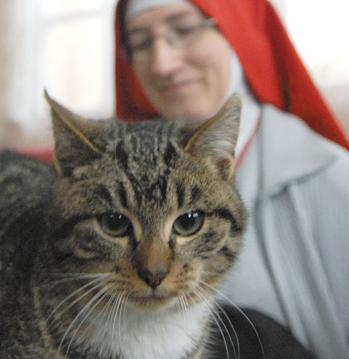 U służebnic Bożego Miłosierdzia